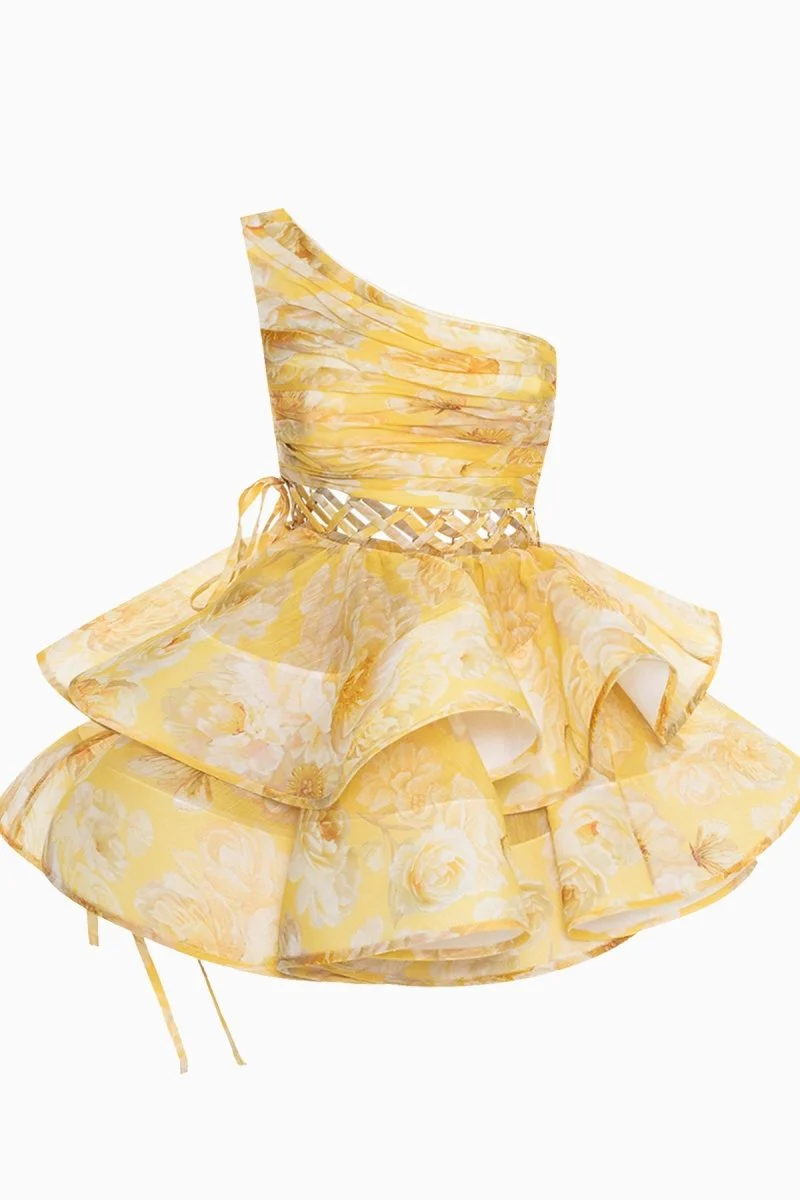 Paula® | Floral-Print One-Shoulder Chiffon Mini Dress - Image 11